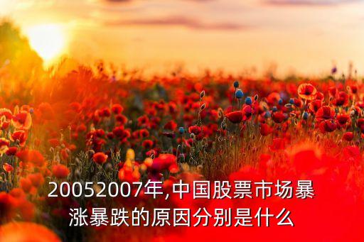 20052007年,中國股票市場暴漲暴跌的原因分別是什么