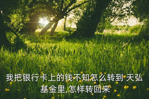 我把銀行卡上的錢不知怎么轉(zhuǎn)到 天弘 基金里,怎樣轉(zhuǎn)回來(lái)