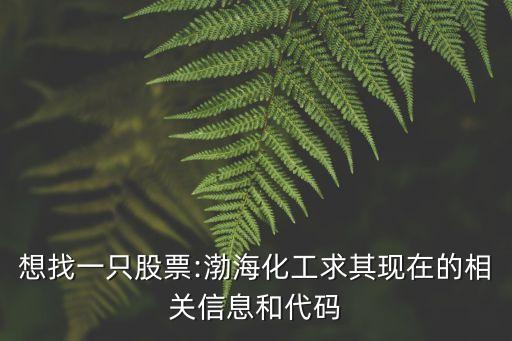 想找一只股票:渤?；で笃洮F(xiàn)在的相關(guān)信息和代碼