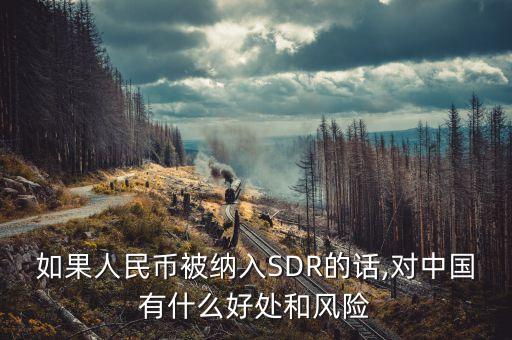 如果人民幣被納入SDR的話,對中國有什么好處和風(fēng)險