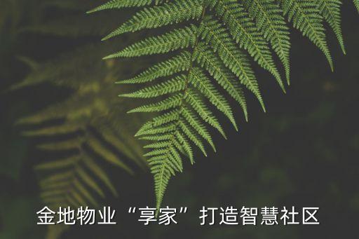 金地集團(tuán)成本管理