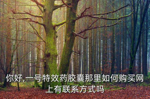 你好,一號特效藥膠囊那里如何購買網(wǎng)上有聯(lián)系方式嗎