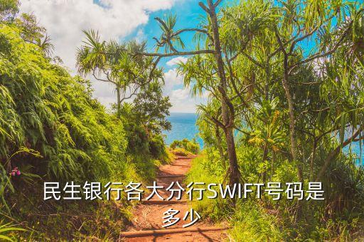  民生銀行各大分行SWIFT號碼是多少