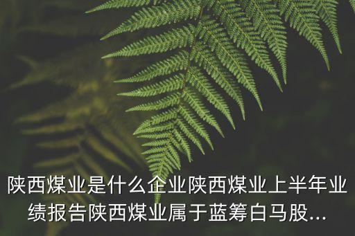 陜西煤業(yè)是什么企業(yè)陜西煤業(yè)上半年業(yè)績(jī)報(bào)告陜西煤業(yè)屬于藍(lán)籌白馬股...