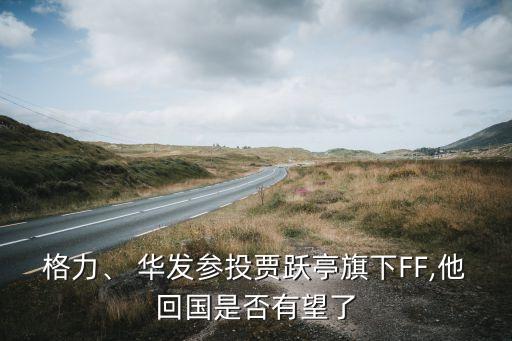 格力、 華發(fā)參投賈躍亭旗下FF,他回國(guó)是否有望了