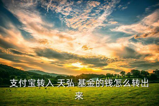 支付寶轉(zhuǎn)入 天弘 基金的錢怎么轉(zhuǎn)出來(lái)