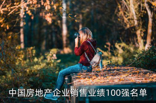 中國房地產(chǎn)企業(yè)銷售業(yè)績100強名單