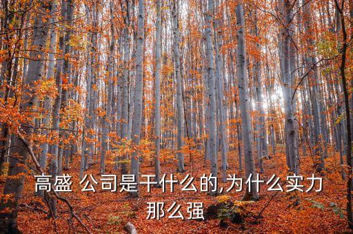 對(duì)高盛公司文化的理解