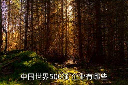 中國世界500強(qiáng) 企業(yè)有哪些