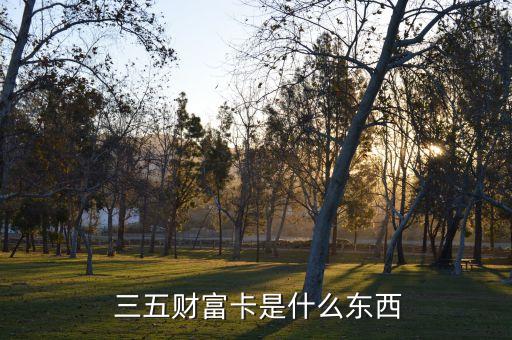  三五財富卡是什么東西