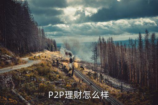 P2P理財(cái)怎么樣