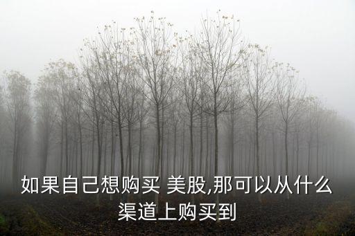 如果自己想購買 美股,那可以從什么渠道上購買到