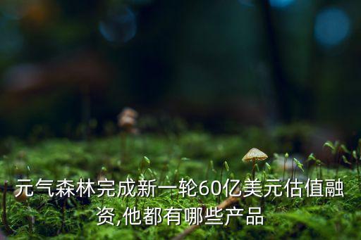 北京60億私募,北京有名的私募公司