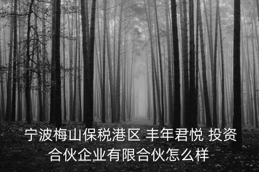 寧波豐年投資,豐年投資有限公司