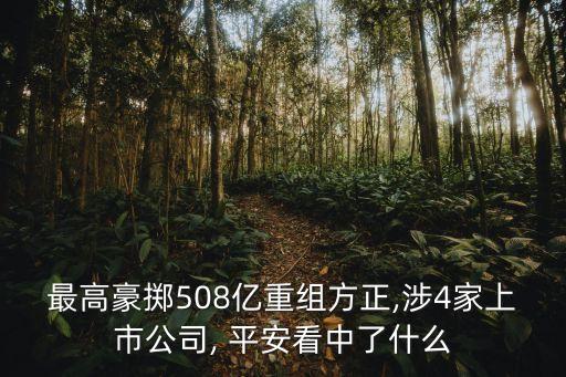 最高豪擲508億重組方正,涉4家上市公司, 平安看中了什么