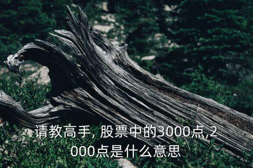 請教高手, 股票中的3000點,2000點是什么意思