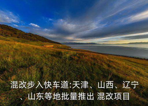  混改步入快車道:天津、山西、遼寧、山東等地批量推出 混改項目