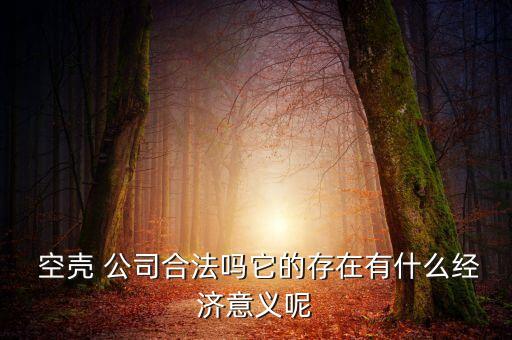  空殼 公司合法嗎它的存在有什么經(jīng)濟意義呢