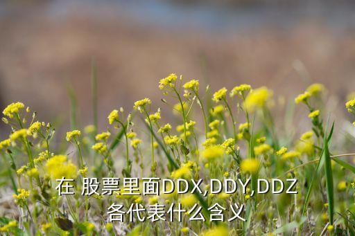 在 股票里面DDX,DDY,DDZ各代表什么含義