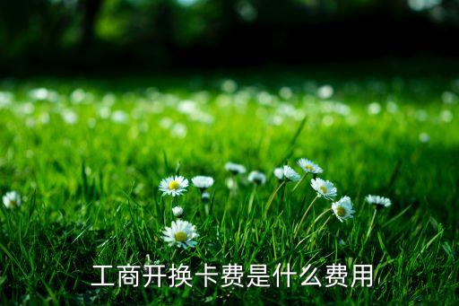  工商開(kāi)換卡費(fèi)是什么費(fèi)用