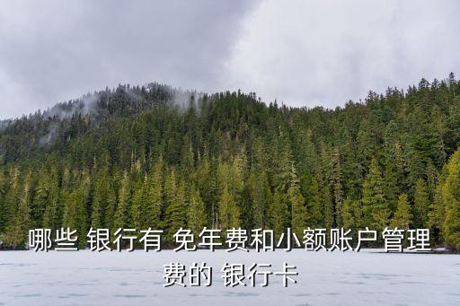 哪些 銀行有 免年費(fèi)和小額賬戶管理費(fèi)的 銀行卡