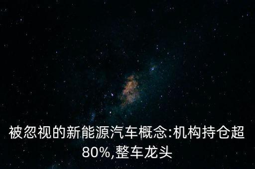 被忽視的新能源汽車(chē)概念:機(jī)構(gòu)持倉(cāng)超80%,整車(chē)龍頭