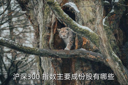 滬深300 指數(shù)主要成份股有哪些