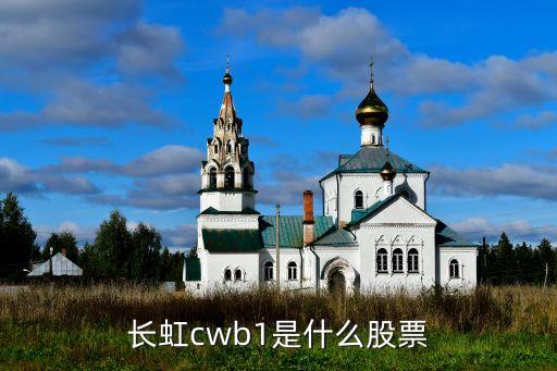 長虹cwb1是什么股票