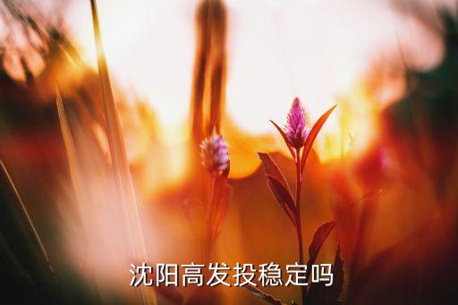  沈陽高發(fā)投穩(wěn)定嗎