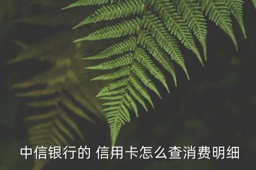  中信銀行的 信用卡怎么查消費(fèi)明細(xì)