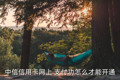 中信信用卡網(wǎng)上 支付功怎么才能開(kāi)通