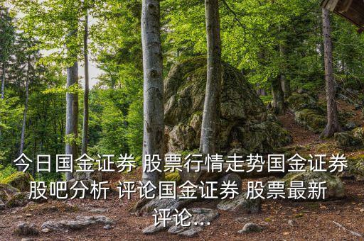 股票評論哪里好,為什么看不到股票評論