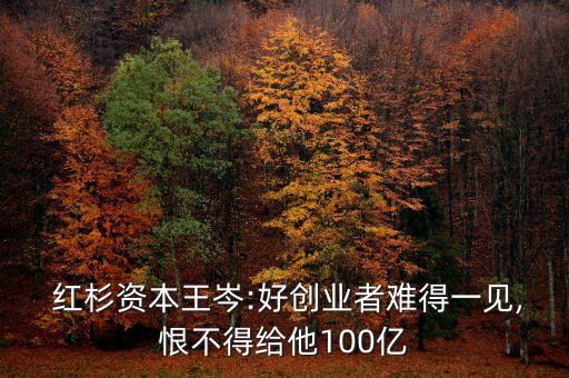  紅杉資本王岑:好創(chuàng)業(yè)者難得一見,恨不得給他100億