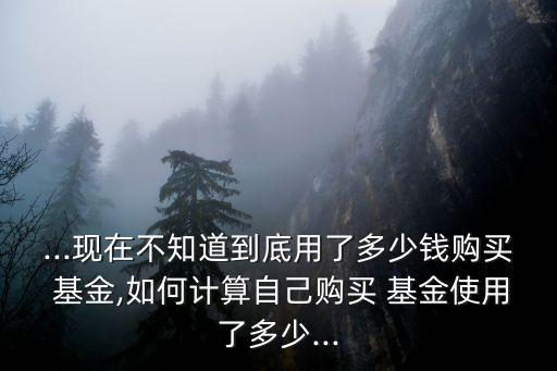 ...現(xiàn)在不知道到底用了多少錢購買 基金,如何計算自己購買 基金使用了多少...