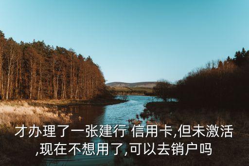 才辦理了一張建行 信用卡,但未激活,現(xiàn)在不想用了,可以去銷戶嗎