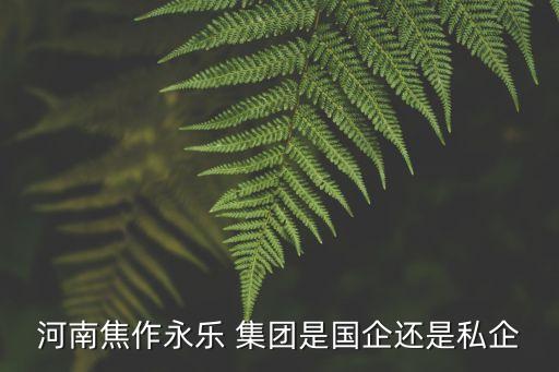 河南焦作永樂 集團是國企還是私企