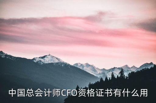 中國企業(yè)財務總監(jiān)通訊錄資料購買