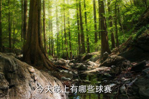 英國(guó)斯坦科有限公司,斯坦科貿(mào)易(上海)有限公司