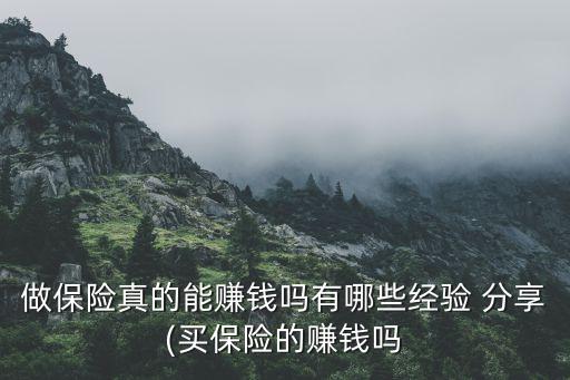 做保險(xiǎn)真的能賺錢嗎有哪些經(jīng)驗(yàn) 分享(買保險(xiǎn)的賺錢嗎