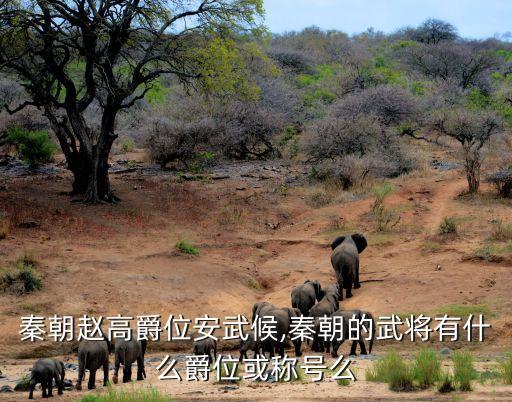 秦朝趙高爵位安武候,秦朝的武將有什么爵位或稱號么