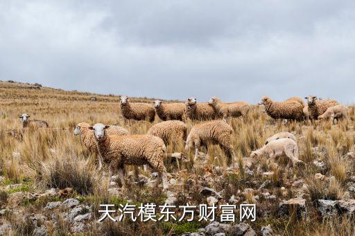 天汽模志通車身科技有限公司,天津天汽模志通車身