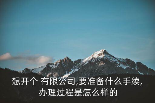 想開個 有限公司,要準(zhǔn)備什么手續(xù), 辦理過程是怎么樣的