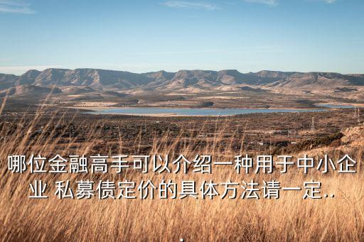 哪位金融高手可以介紹一種用于中小企業(yè) 私募債定價(jià)的具體方法請(qǐng)一定...