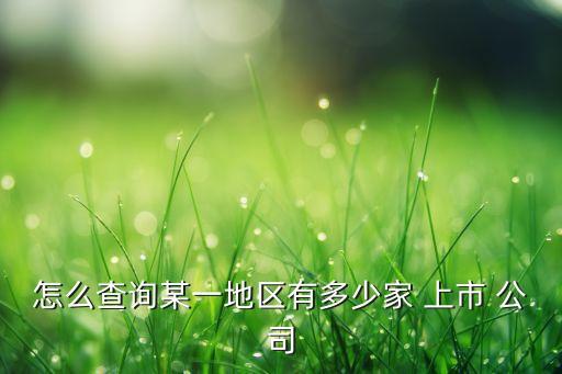 怎么查詢某一地區(qū)有多少家 上市 公司