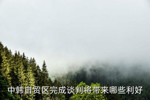 中韓自貿(mào)區(qū)完成談判將帶來哪些利好