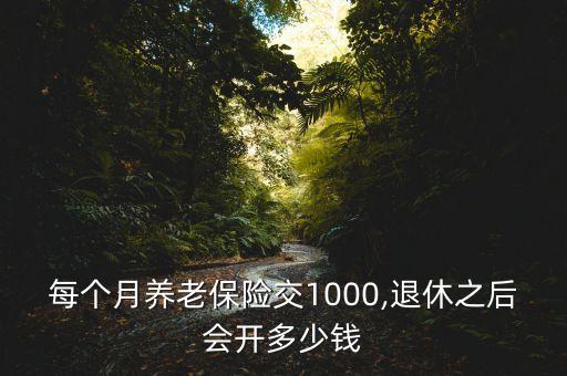 每個月養(yǎng)老保險交1000,退休之后會開多少錢