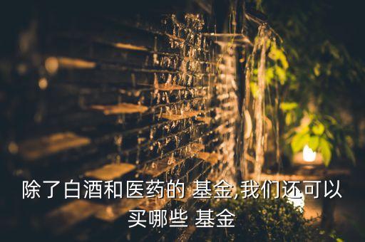 除了白酒和醫(yī)藥的 基金,我們還可以買(mǎi)哪些 基金