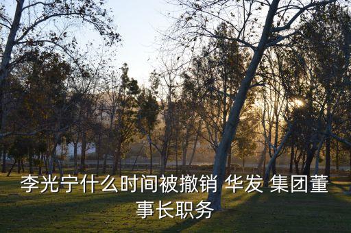 李光寧什么時(shí)間被撤銷 華發(fā) 集團(tuán)董事長(zhǎng)職務(wù)