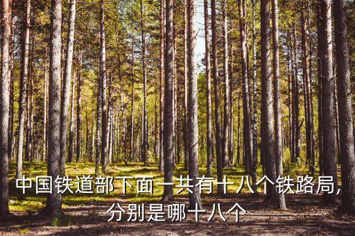 中國(guó)鐵道部下面一共有十八個(gè)鐵路局,分別是哪十八個(gè)