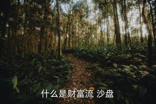 什么是財富流 沙盤